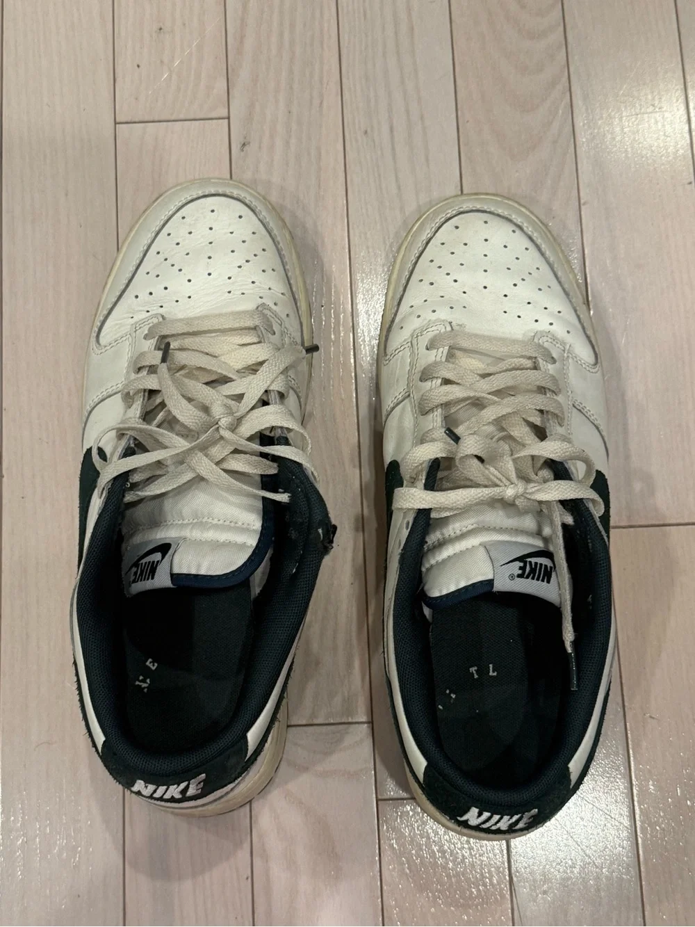 Nike Dunk Low Athletic Department Deep Jungle